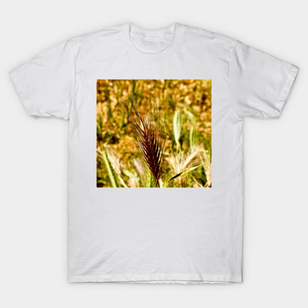 cli wheat T-Shirt by pcfyi